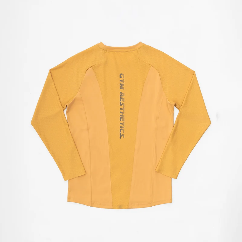 Training Running Longsleeves T-Shirt for Men