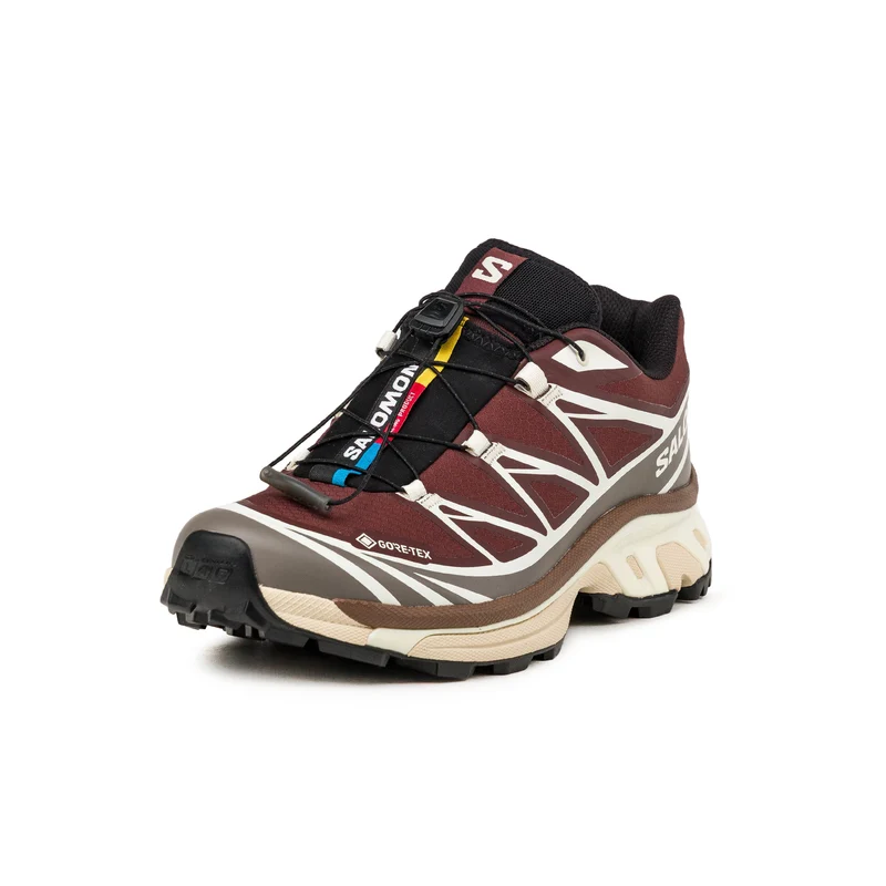 Salomon XT-6 GTX