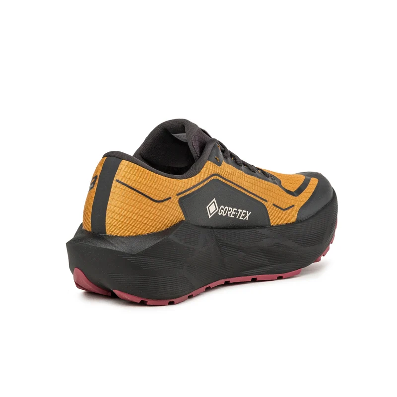 Asics Novablast 6 GTX