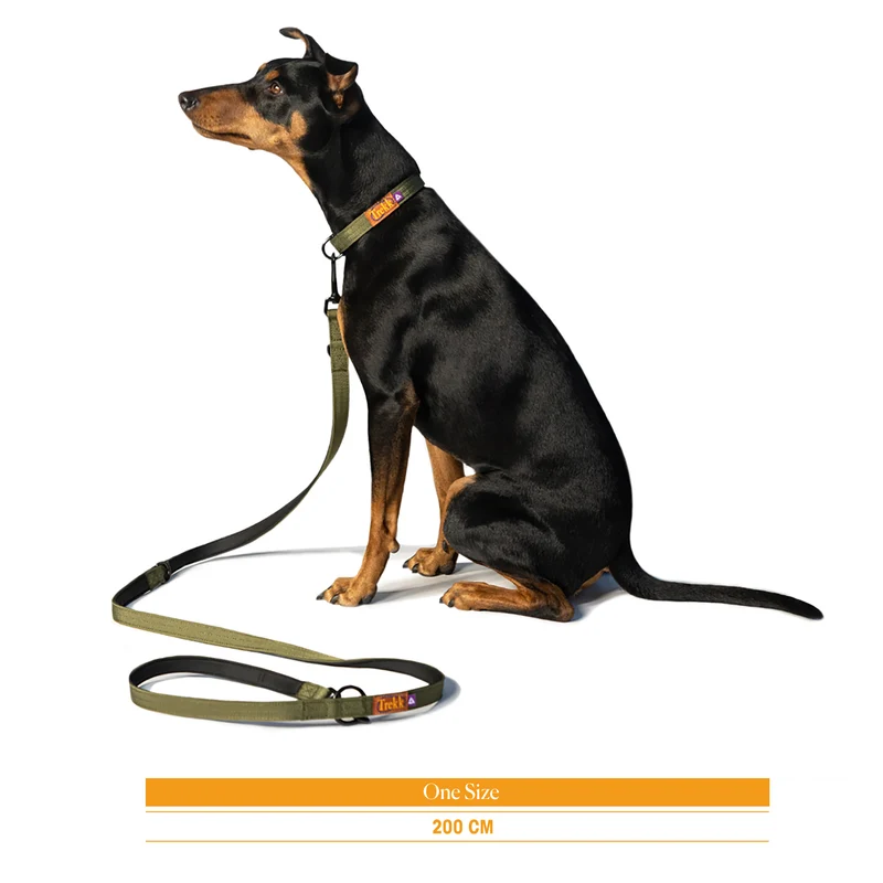 Trekk Dog Leash