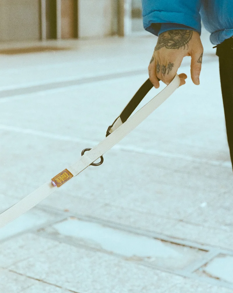 Trekk Dog Leash