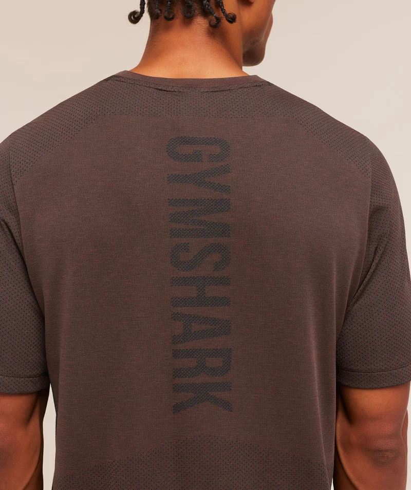 Gymshark Lightweight Seamless T-Shirt - Espresso Brown/Marl