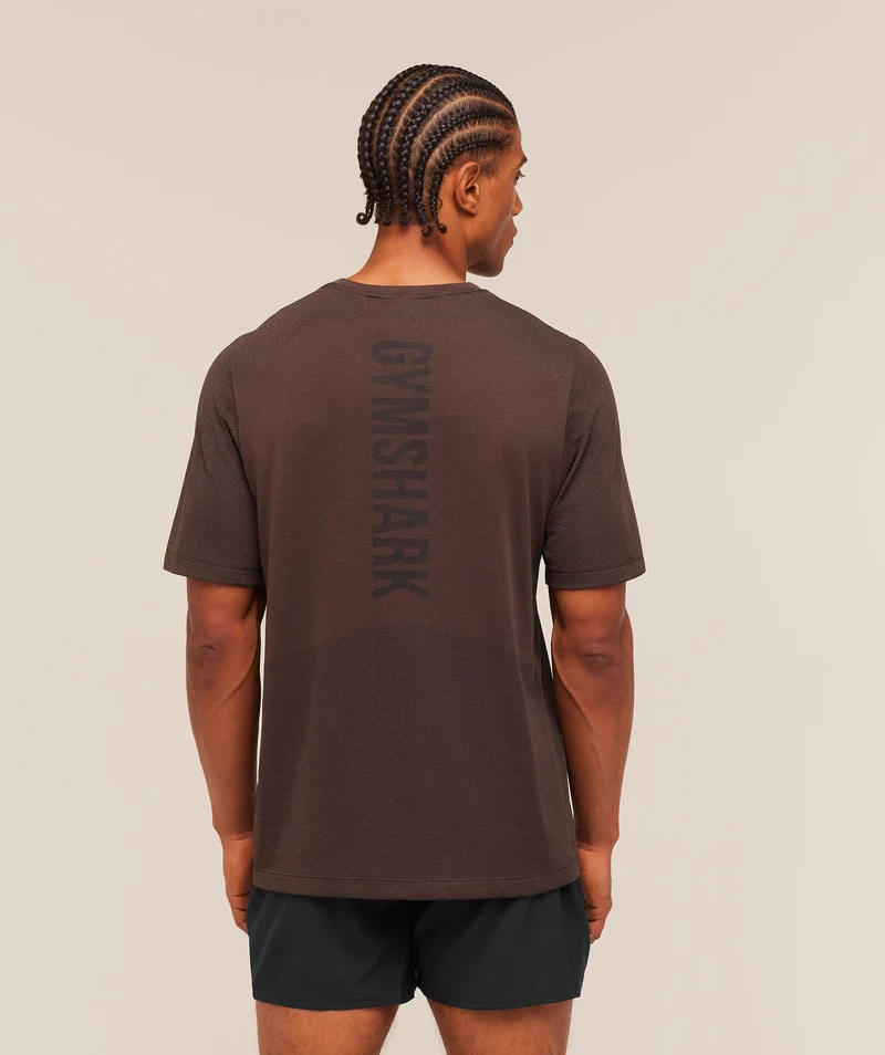 Gymshark Lightweight Seamless T-Shirt - Espresso Brown/Marl