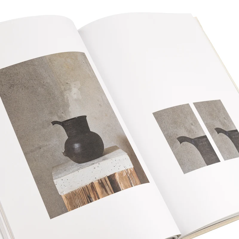 Frama Perception Form Book
