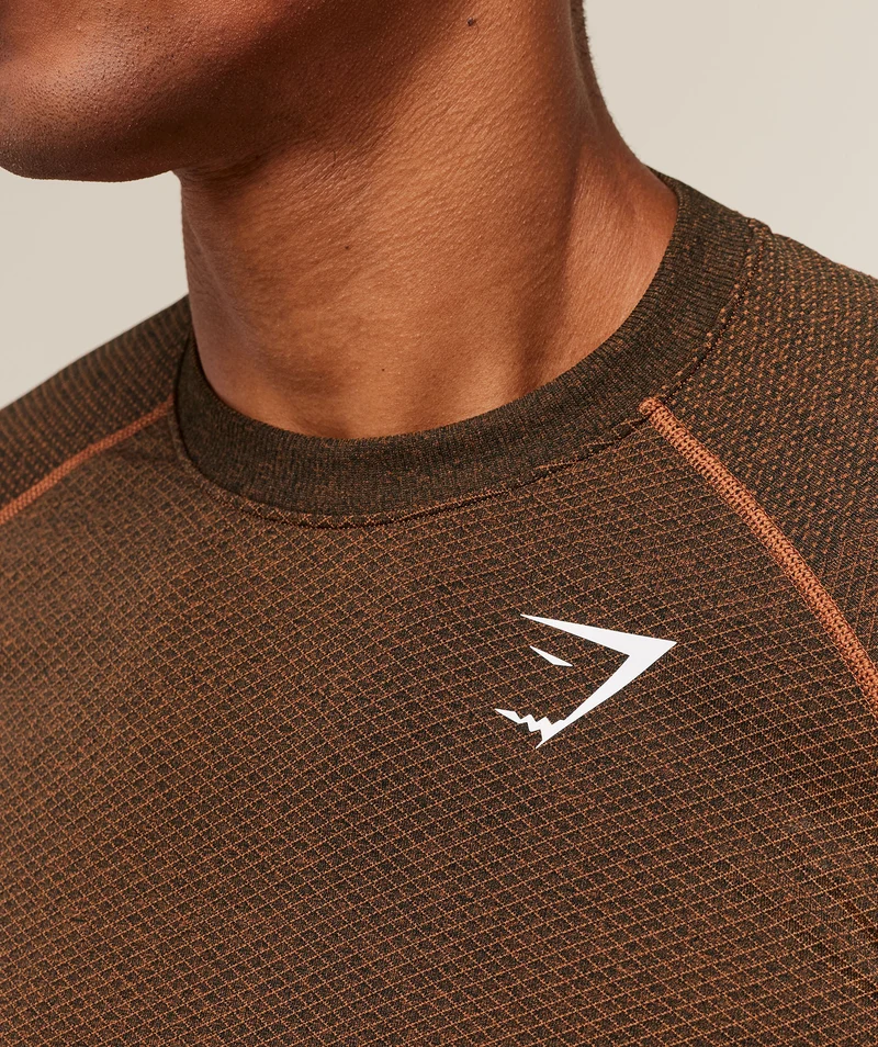Gymshark Vital Seamless T-Shirt - Black/Spiced Brown