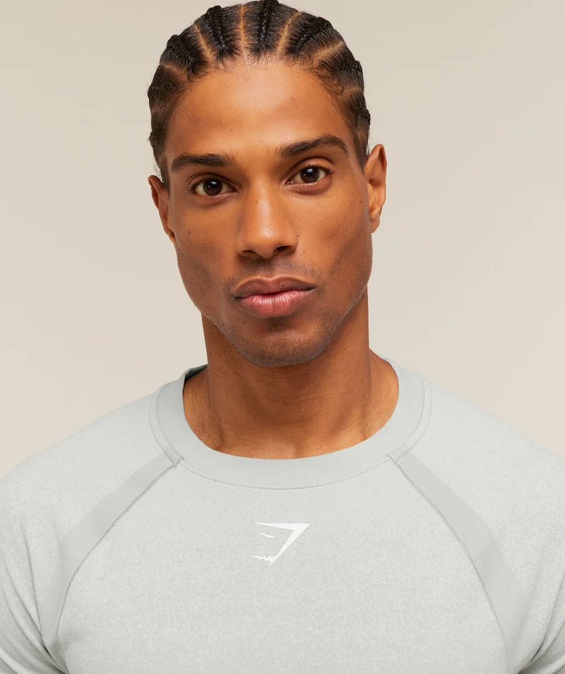 Gymshark Shadow Seamless T Shirt - Light Grey
