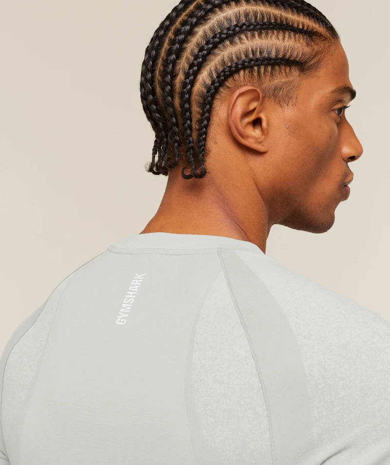 Gymshark Shadow Seamless T Shirt - Light Grey