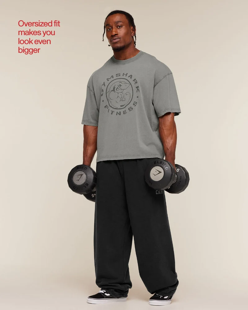 Gymshark Vintage Legacy T-Shirt - Ash Grey