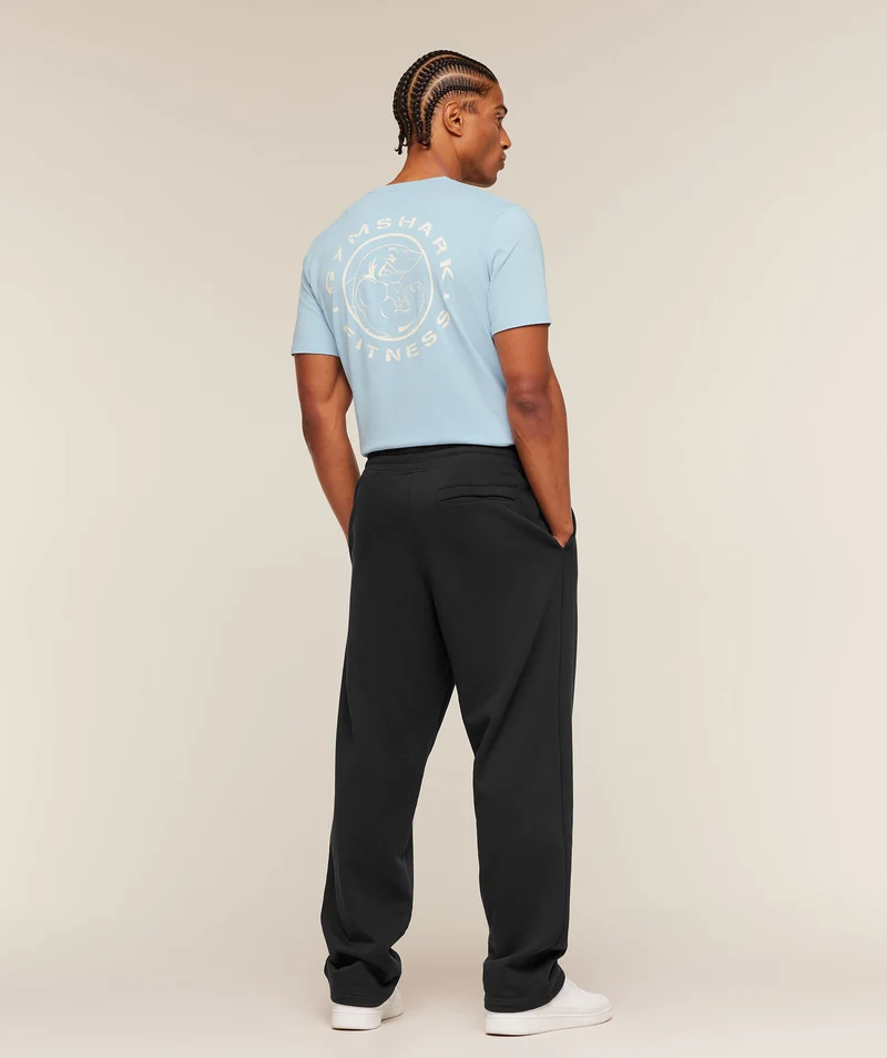 Gymshark Legacy T-Shirt - Chilled Blue