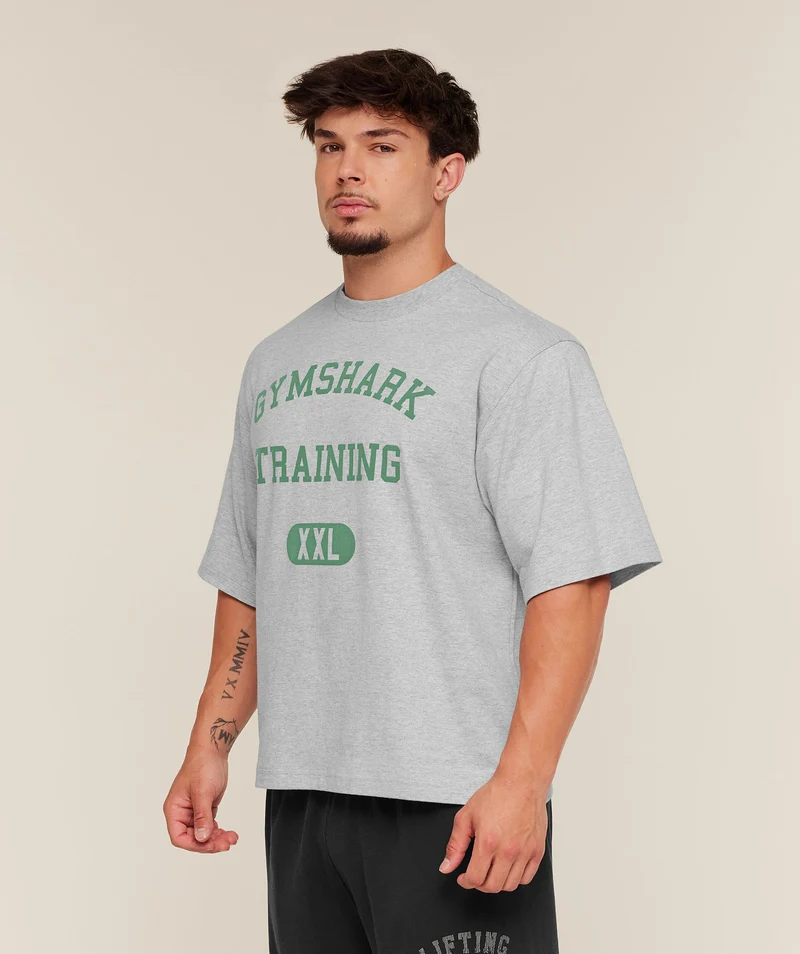 Gymshark Training Graphic T-Shirt - Light Grey Core Marl