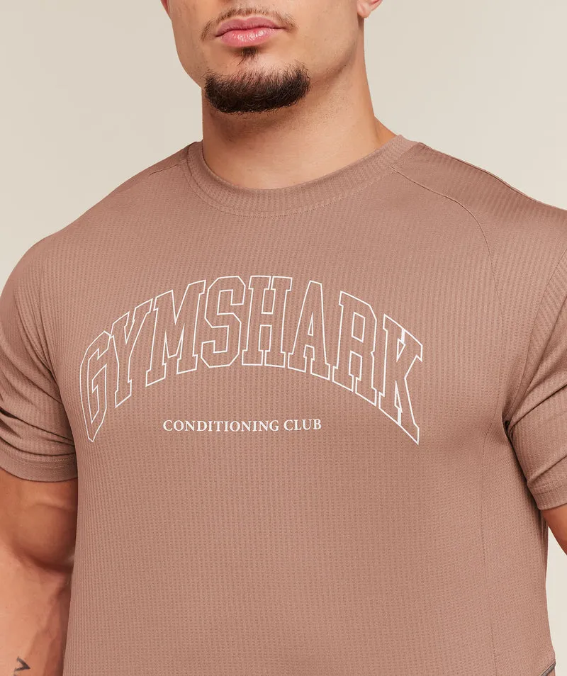Gymshark Collegiate Tech T-Shirt - Taupe Brown