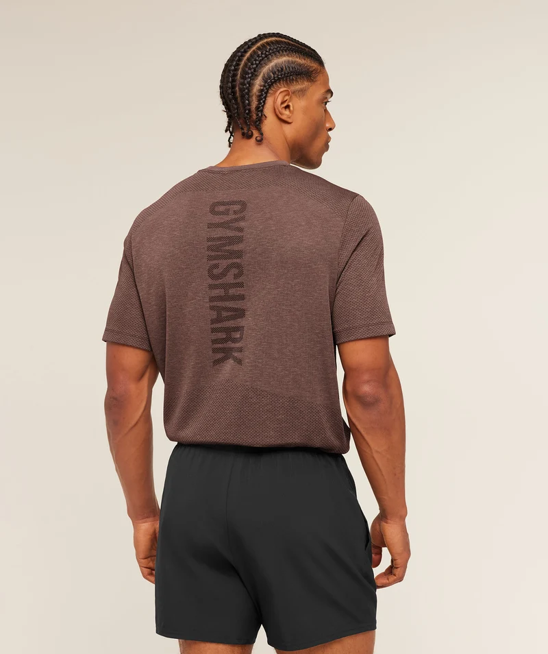Gymshark Lightweight Seamless T-Shirt - Soft Brown/Marl