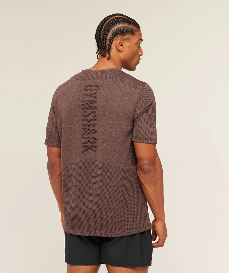 Gymshark Lightweight Seamless T-Shirt - Soft Brown/Marl