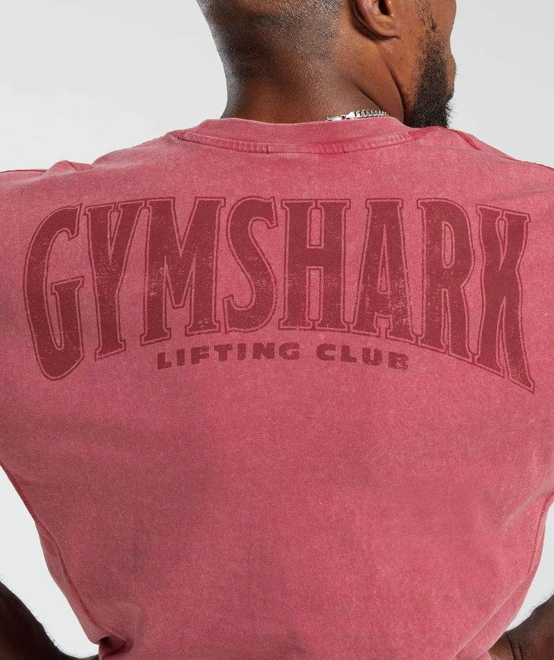 Gymshark Heritage Washed T-Shirt - Vintage Pink/Acid Wash Small Ball