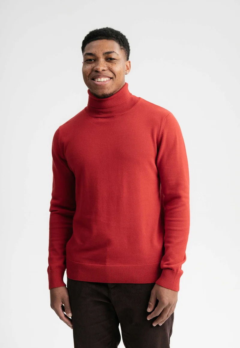 Feinstrick Rollkragenpullover Style KANJA