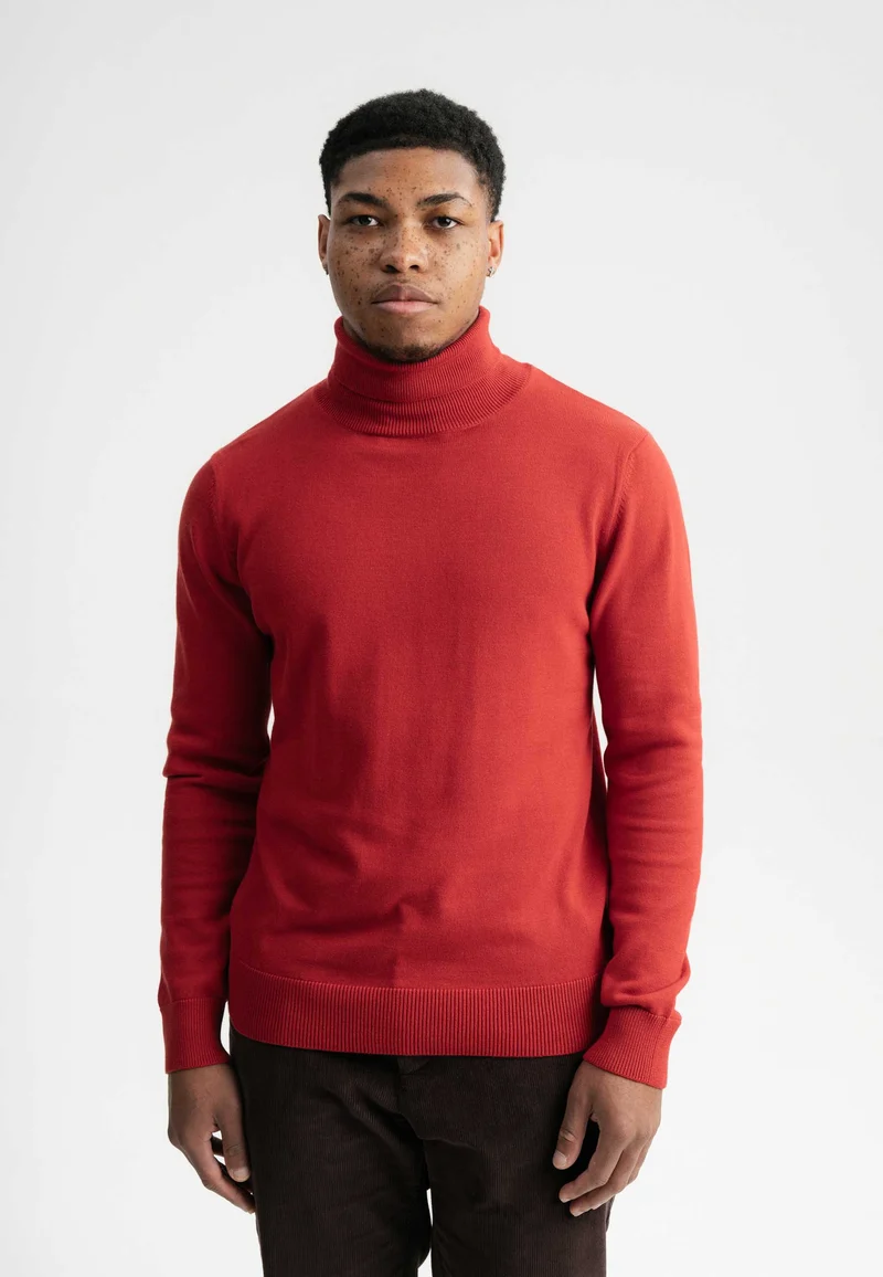 Feinstrick Rollkragenpullover Style KANJA