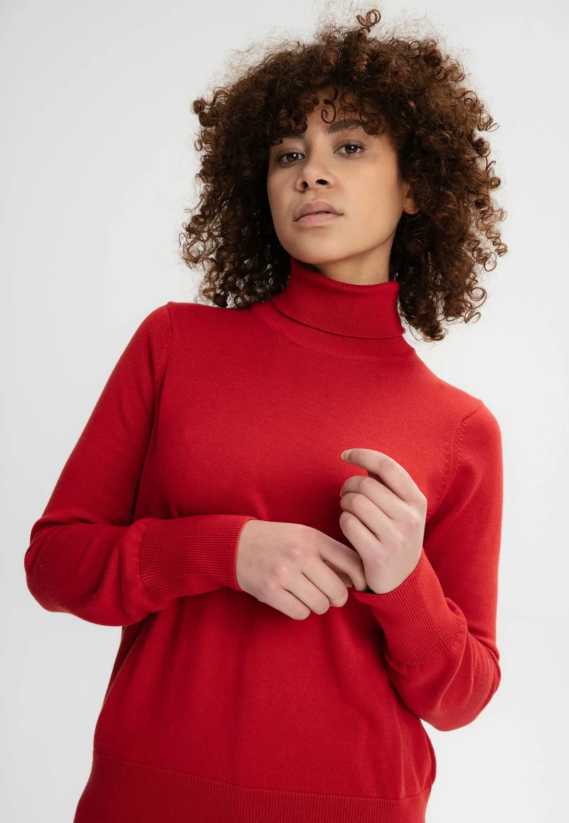 Feinstrick Rollkragenpullover Style MAYURA