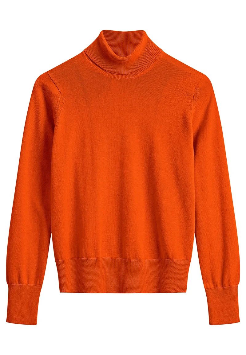 Feinstrick Rollkragenpullover Style MAYURA