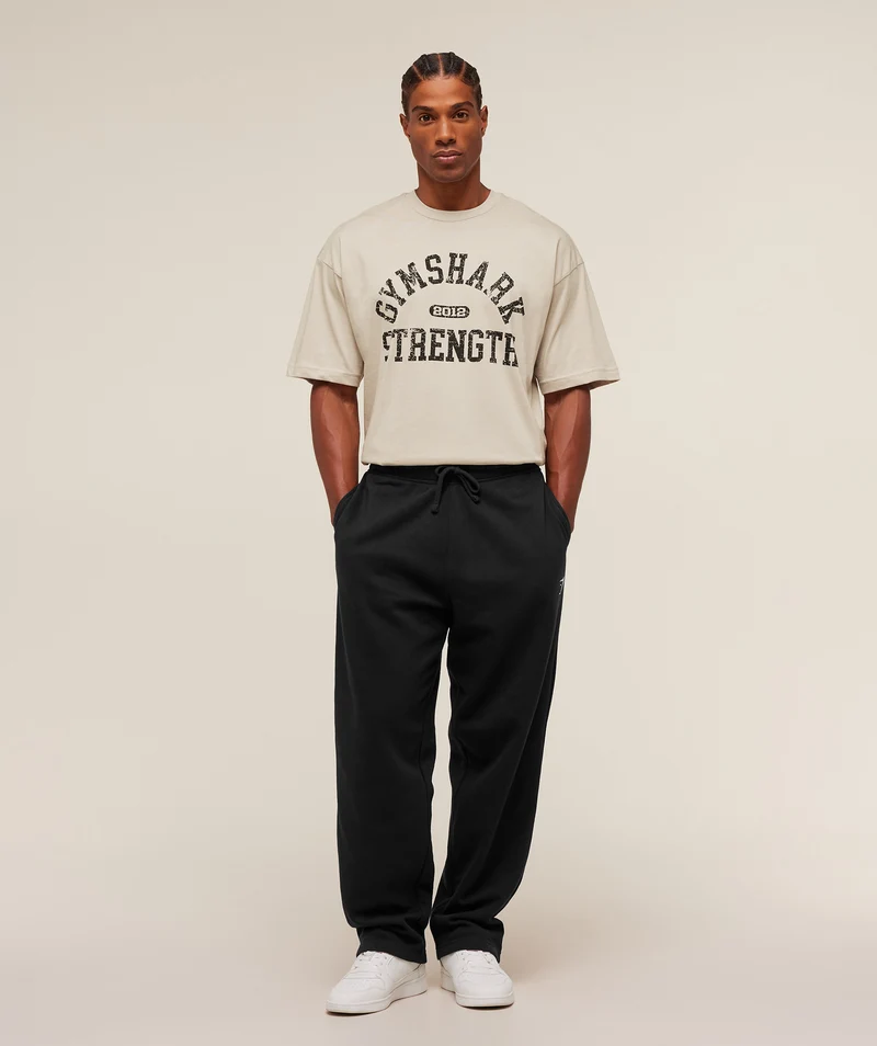 Gymshark 2012 Strength T-Shirt - Pebble Grey