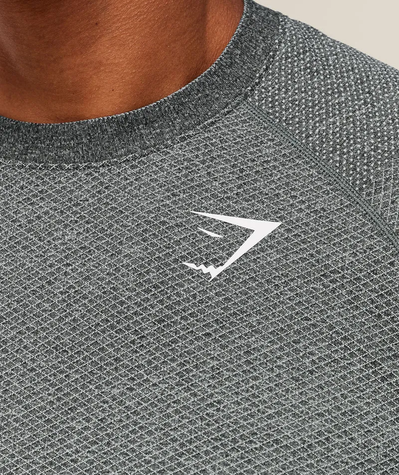 Gymshark Vital Seamless T-Shirt - Graphite Grey/Soft White