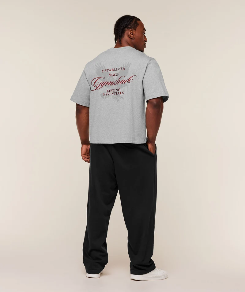 Gymshark Eagle Script Graphic T-Shirt - Light Grey Core Marl