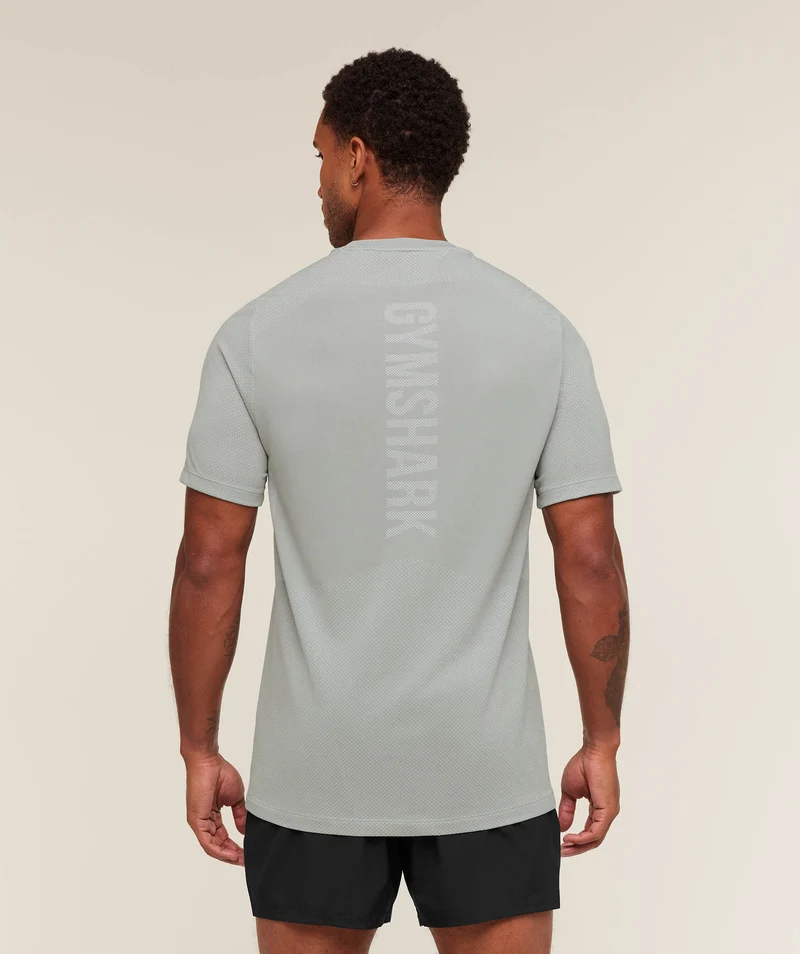 Gymshark Lightweight Seamless T-Shirt - Denim Grey/Light Grey