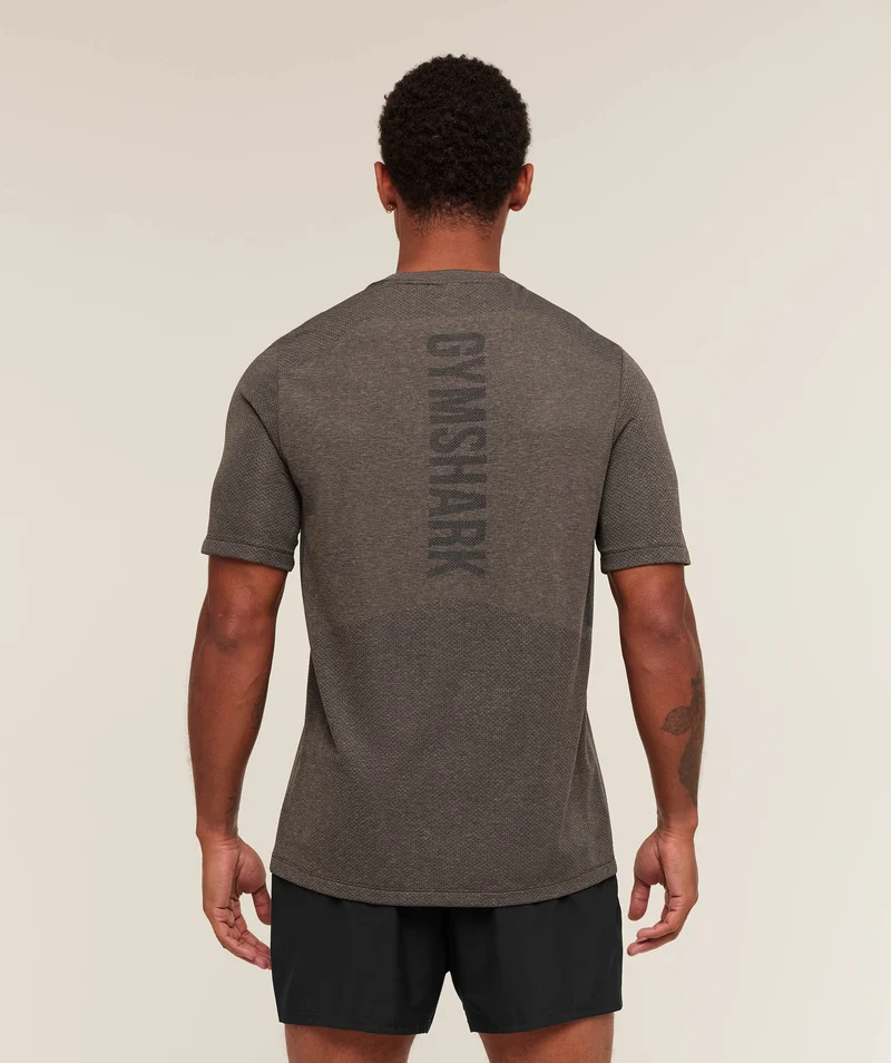 Gymshark Lightweight Seamless T-Shirt - Archive Brown/Cement Brown