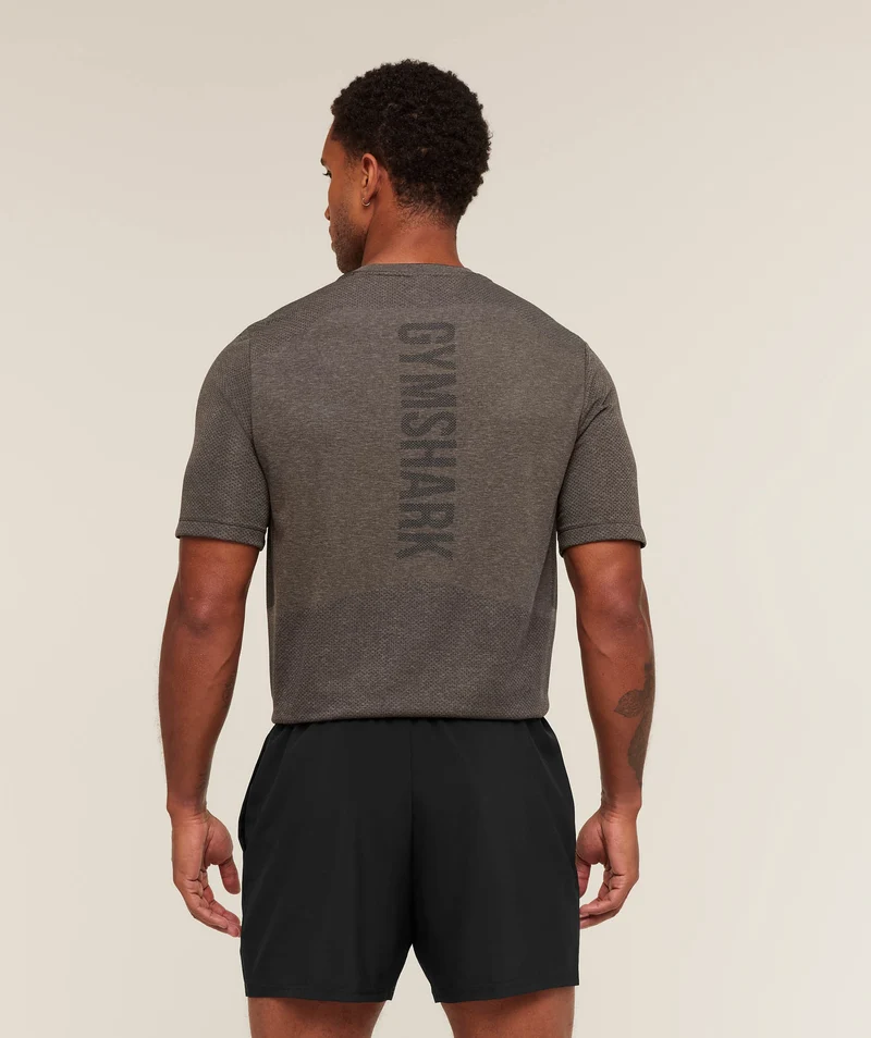 Gymshark Lightweight Seamless T-Shirt - Archive Brown/Cement Brown