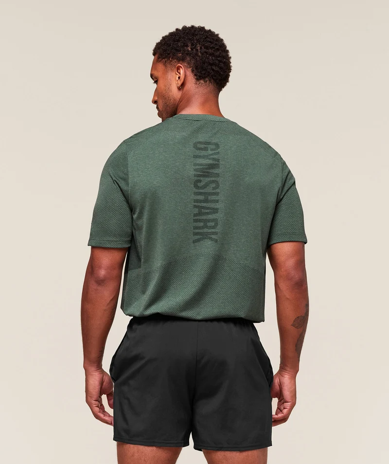 Gymshark Lightweight Seamless T-Shirt - Chalk Green/Base Green
