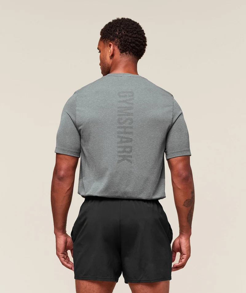Gymshark Lightweight Seamless T-Shirt - Light Grey/Smokey Grey