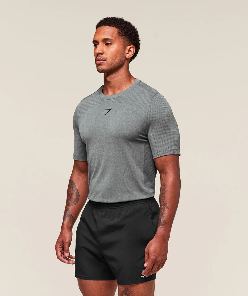 Gymshark Lightweight Seamless T-Shirt - Light Grey/Smokey Grey