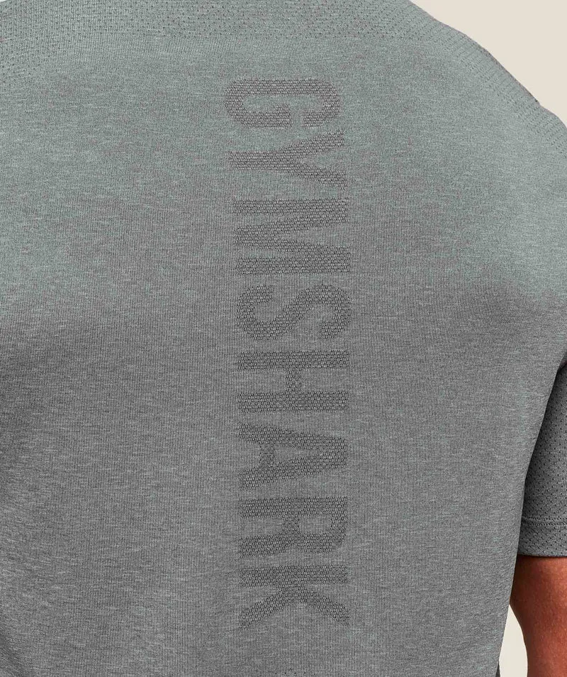 Gymshark Lightweight Seamless T-Shirt - Light Grey/Smokey Grey