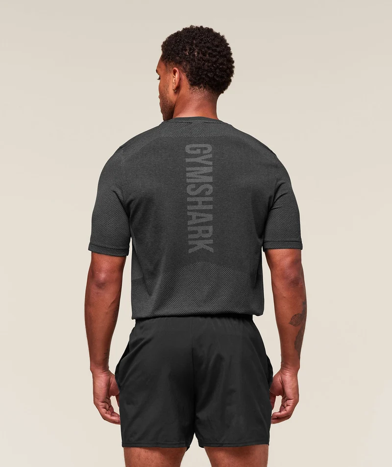 Gymshark Lightweight Seamless T-Shirt - Black/Silhouette Grey