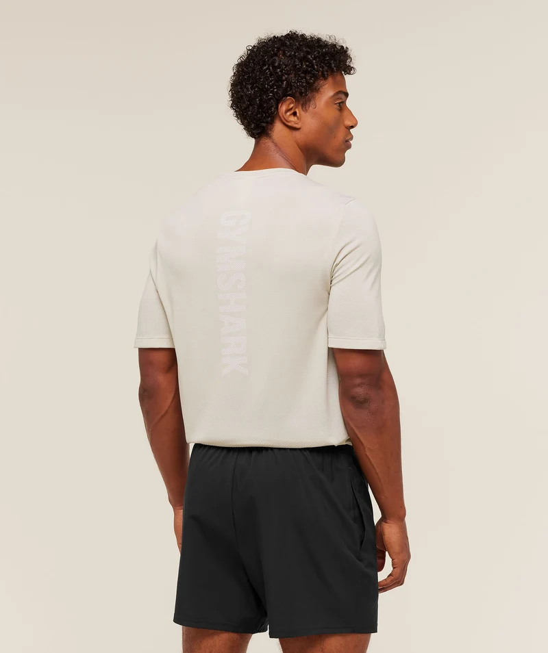 Gymshark Lightweight Seamless T-Shirt - Pebble Grey/White