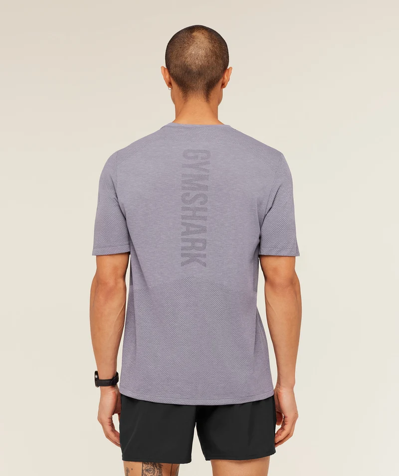 Gymshark Lightweight Seamless T-Shirt - Fog Purple/Marl