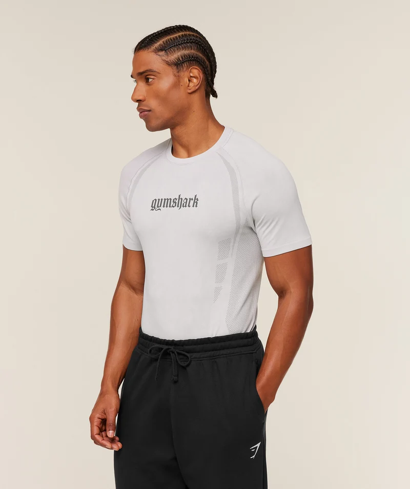 Gymshark Grunge Seamless T-Shirt - Metal Grey/Silver Grey