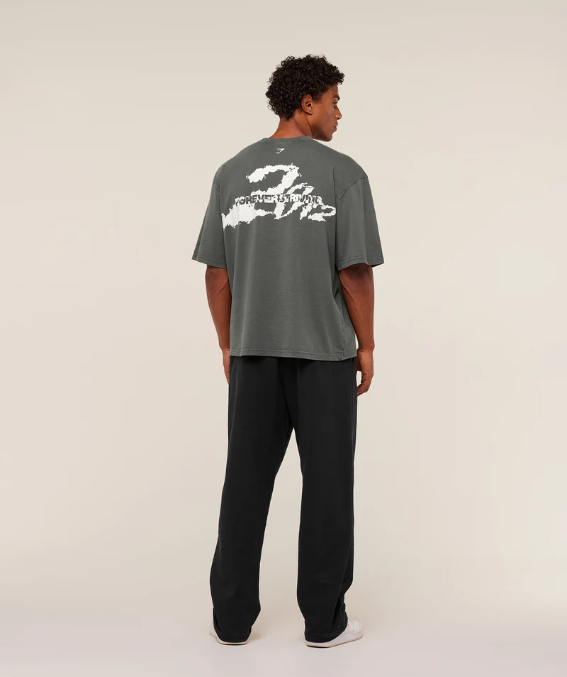 Gymshark Forever Striving T-Shirt - Slate Teal