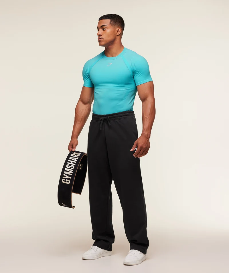 Gymshark Shadow Seamless T Shirt - Brand Blue