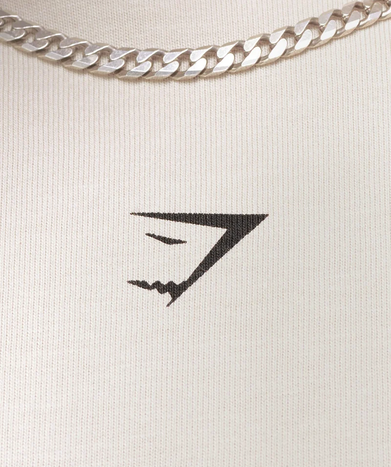 Gymshark Break Your Barriers T-Shirt - Pebble Grey