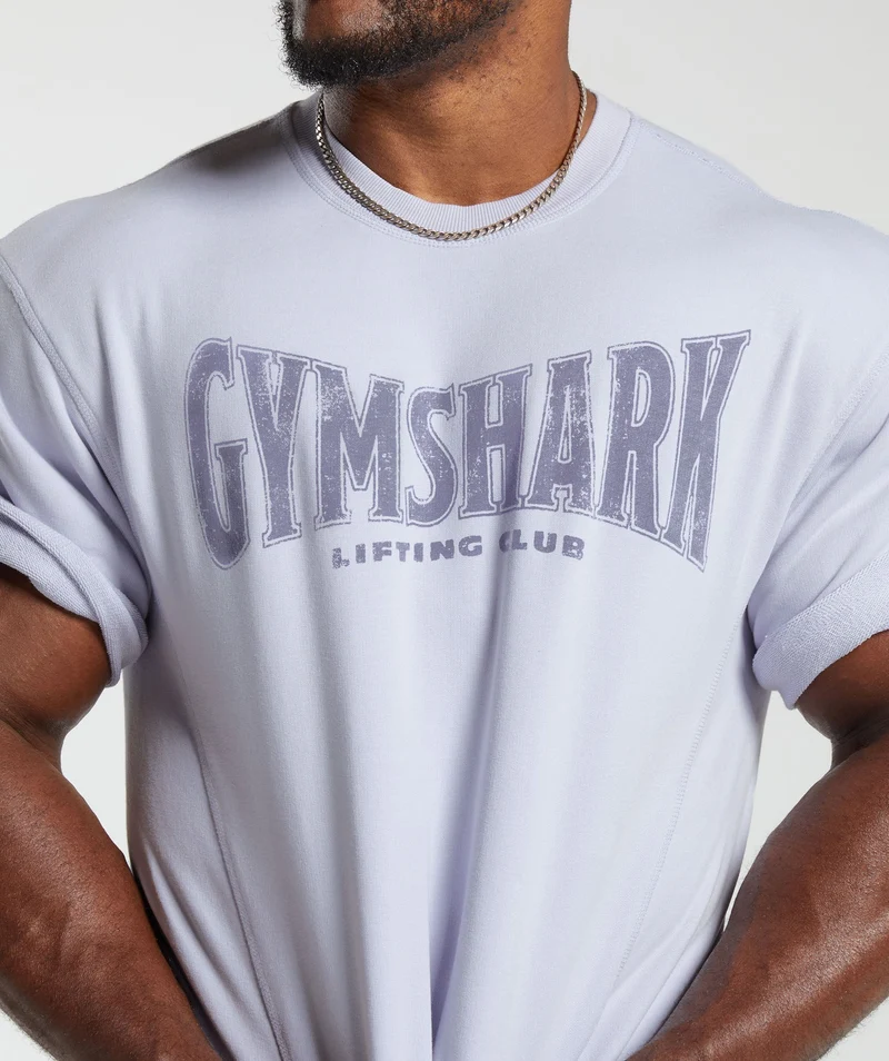 Gymshark Heritage Washed Short Sleeve Crew - Silver Lilac/Acid Wash Small Ball