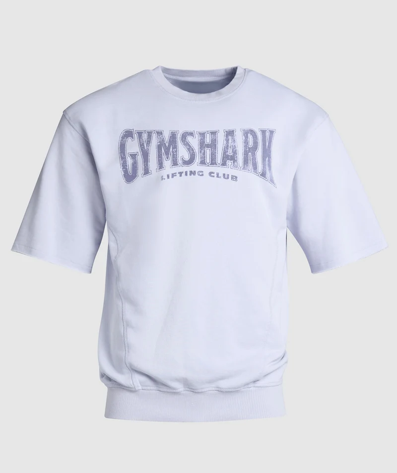 Gymshark Heritage Washed Short Sleeve Crew - Silver Lilac/Acid Wash Small Ball