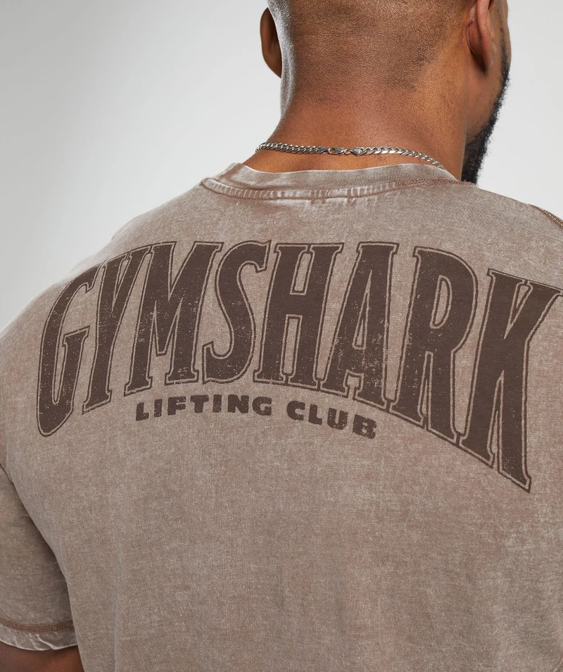 Gymshark Heritage Washed T-Shirt - Penny Brown/Acid Wash Small Ball
