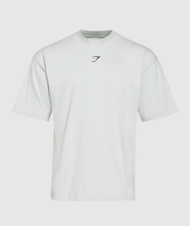 Gymshark Heavy Weight Graphic T-Shirt - Metal Grey