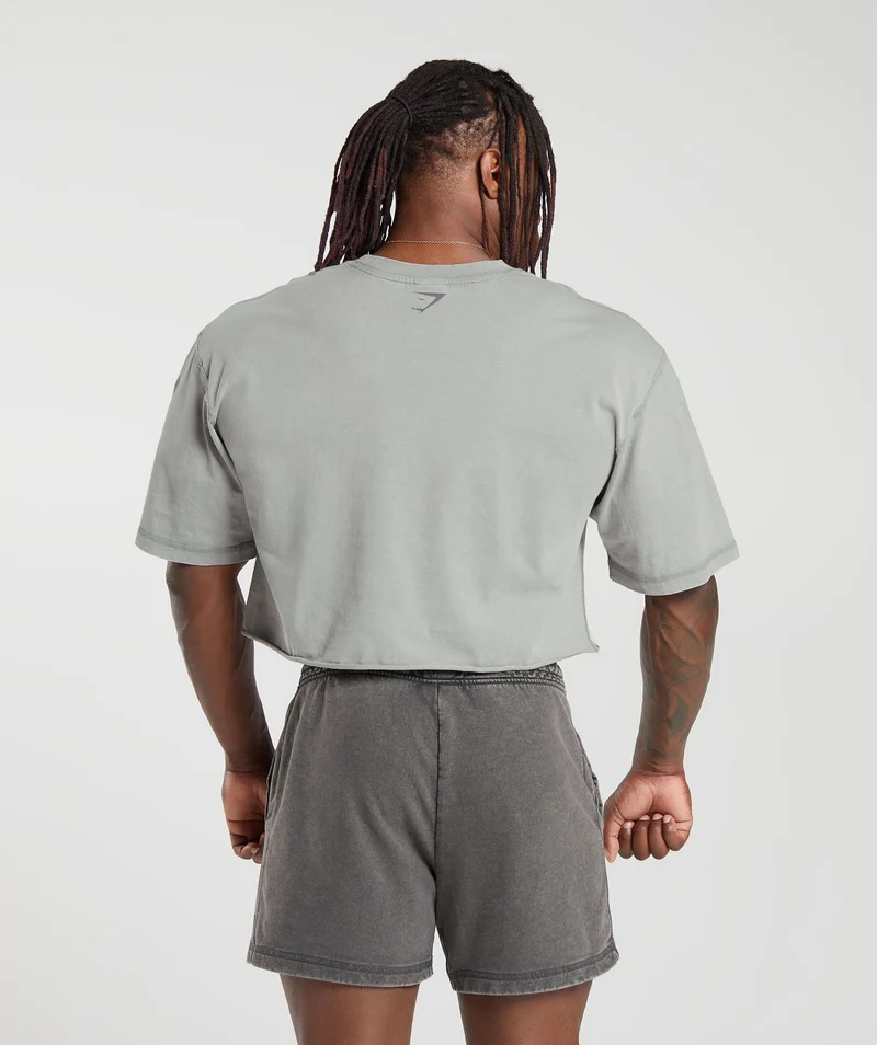 Gymshark Heritage Washed Crop T-Shirt - Smokey Grey/Acid Wash Small Ball