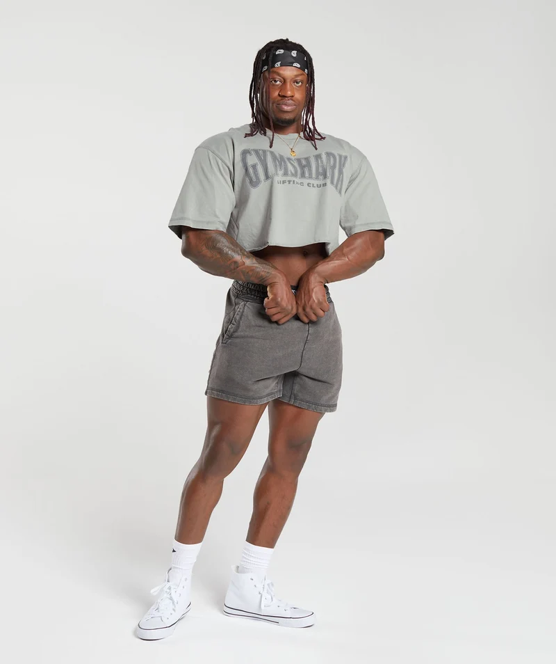 Gymshark Heritage Washed Crop T-Shirt - Smokey Grey/Acid Wash Small Ball