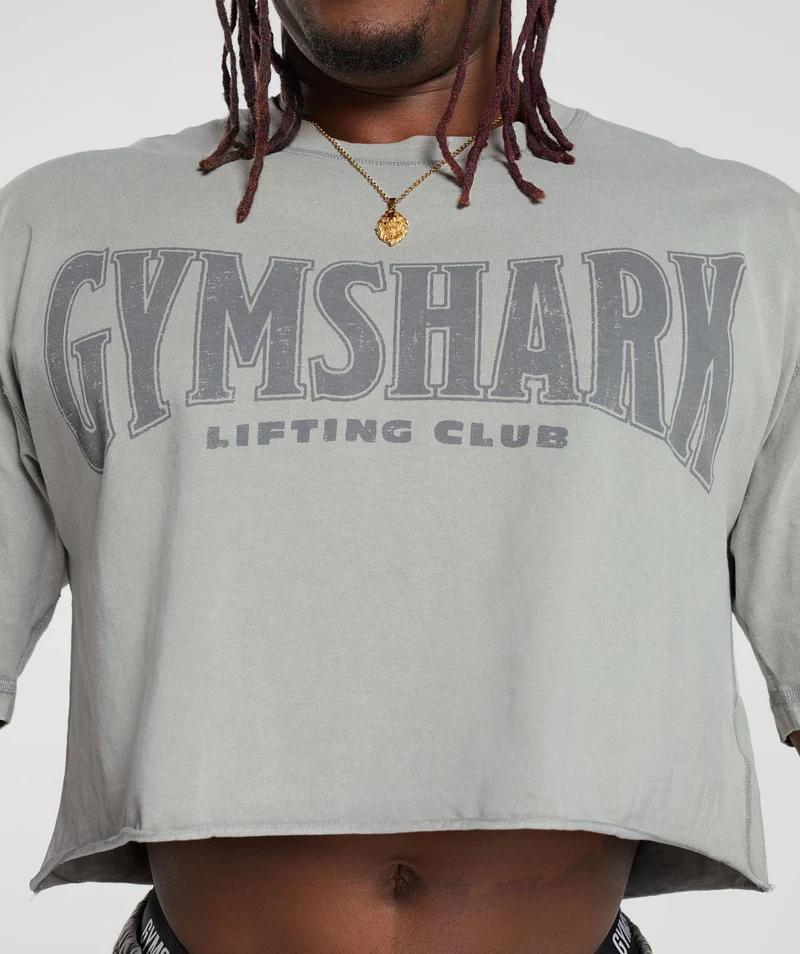 Gymshark Heritage Washed Crop T-Shirt - Smokey Grey/Acid Wash Small Ball