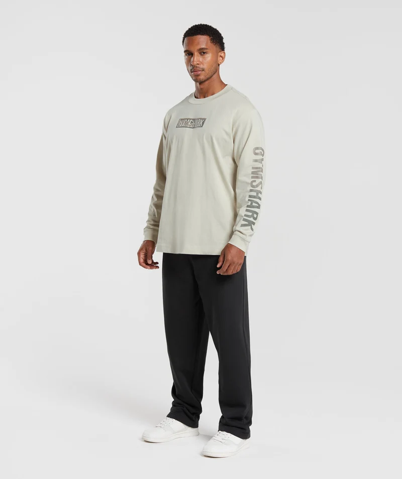 Gymshark Global Graphic Long Sleeve T-Shirt - Pebble Grey