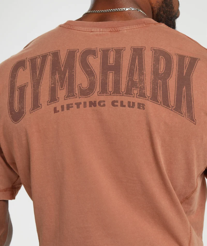 Gymshark Heritage Washed T-Shirt - Canyon Brown/Acid Wash Small Ball