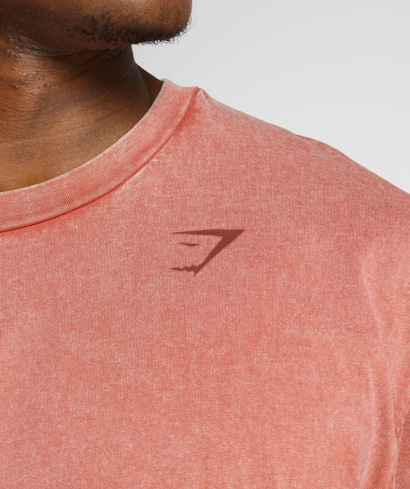 Gymshark Power Washed T-Shirt - Brown