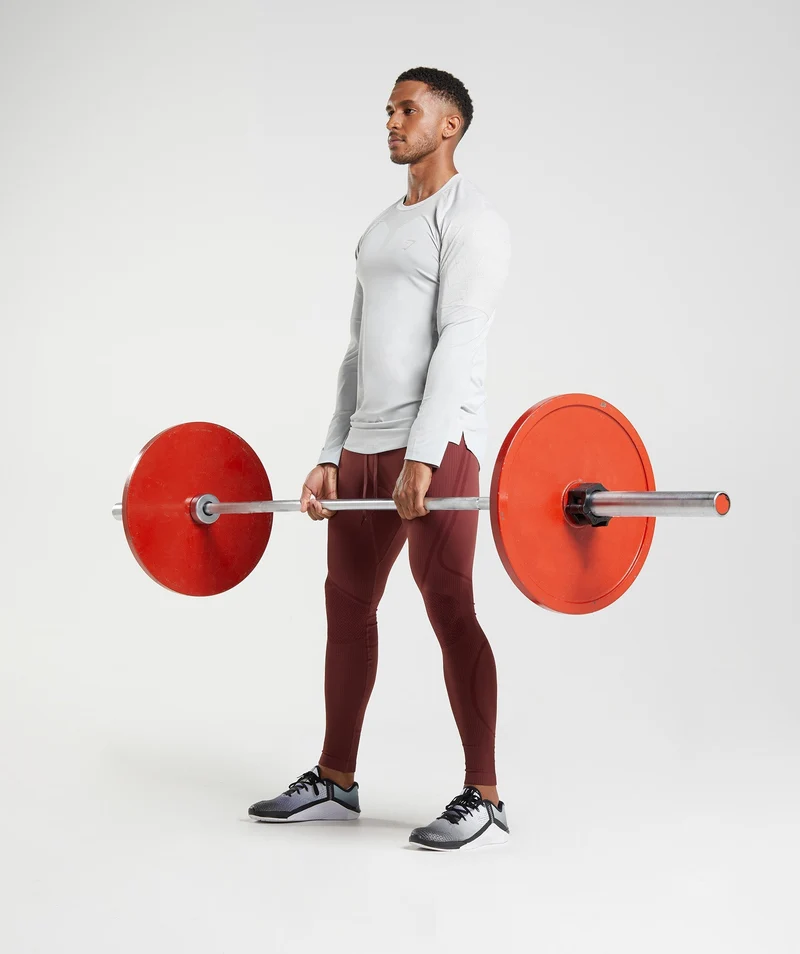 Gymshark 315 Long Sleeve Top - Light Grey